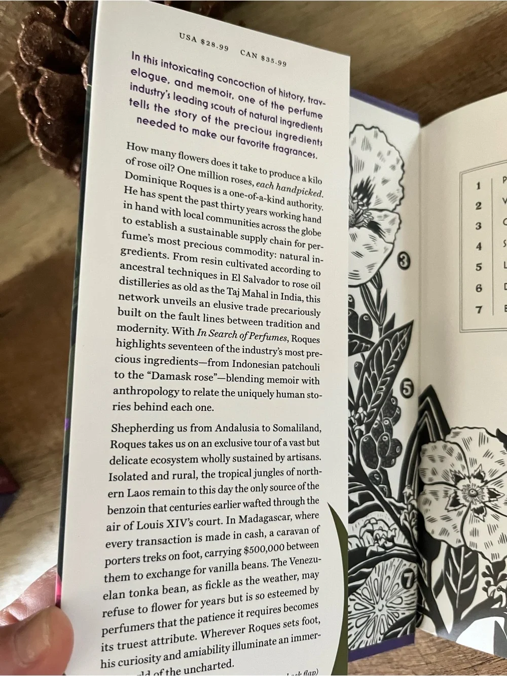 NEW In Search of Perfumes Hardcover Book Dominique Roques